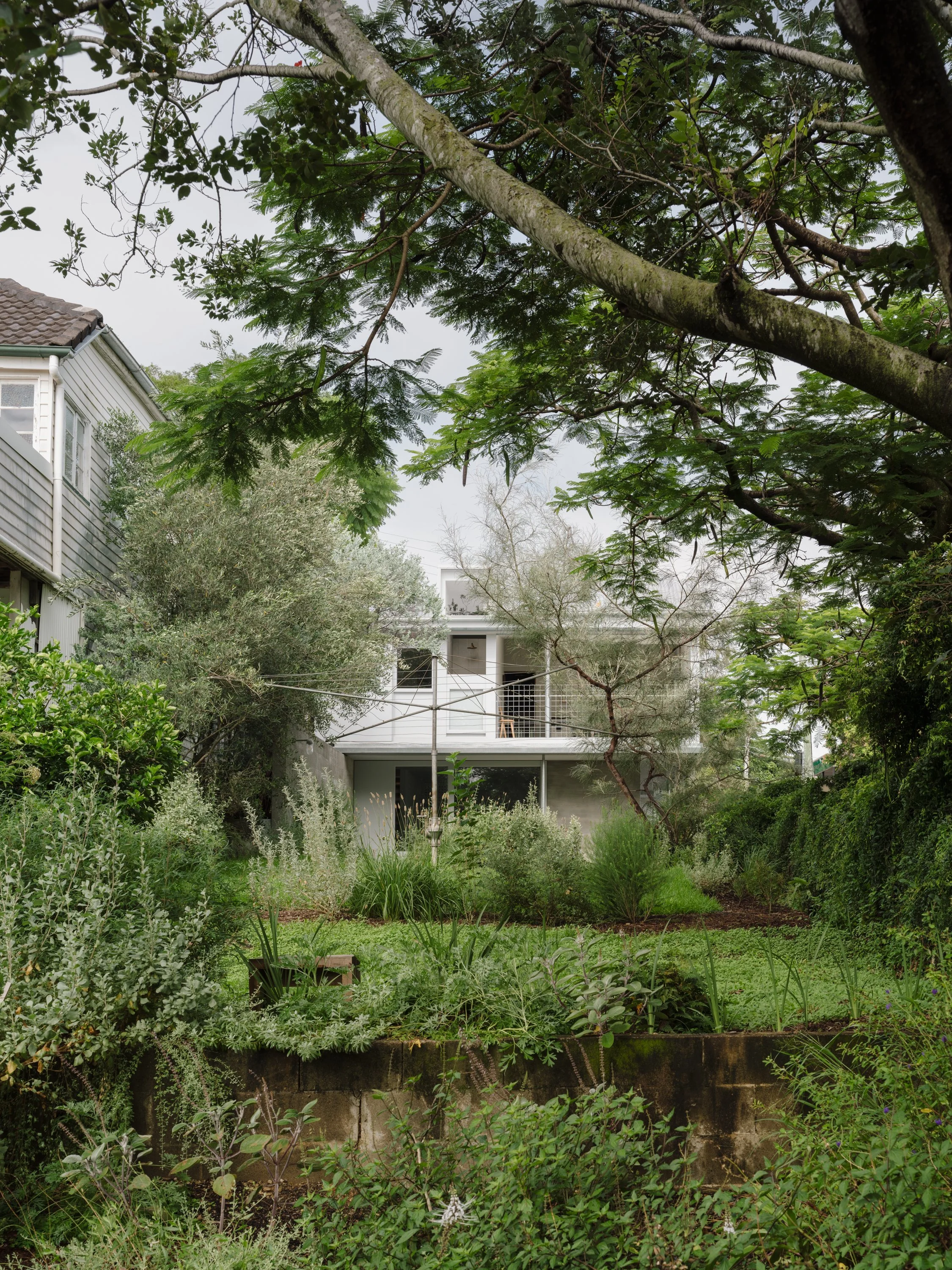Red Hill House and Studio — zuzana&nicholas
